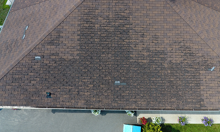OAKVILLE ROOF REPLACEMENT